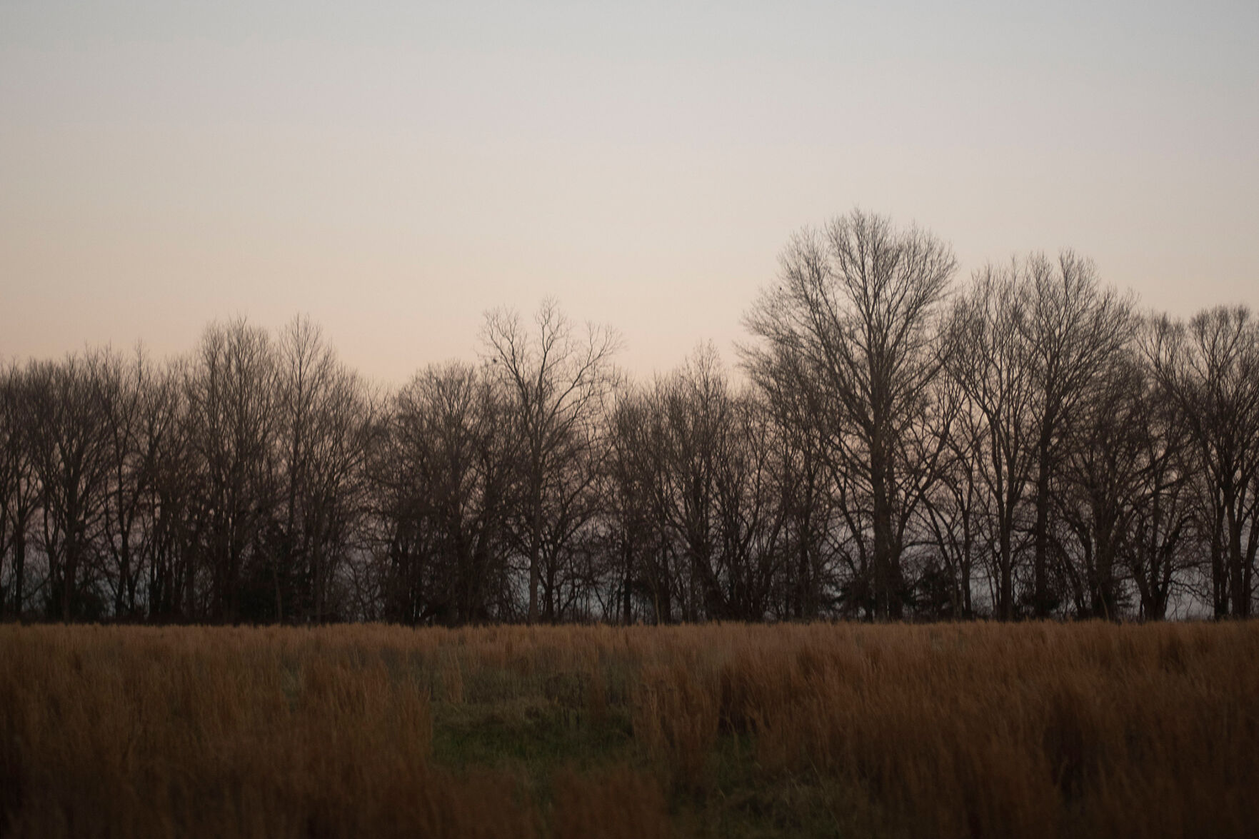 Dusk falls on my grandfather’s land